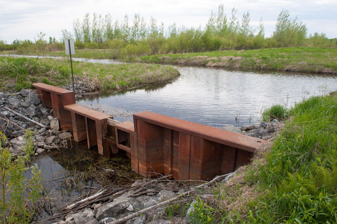 Metal water level control structure
