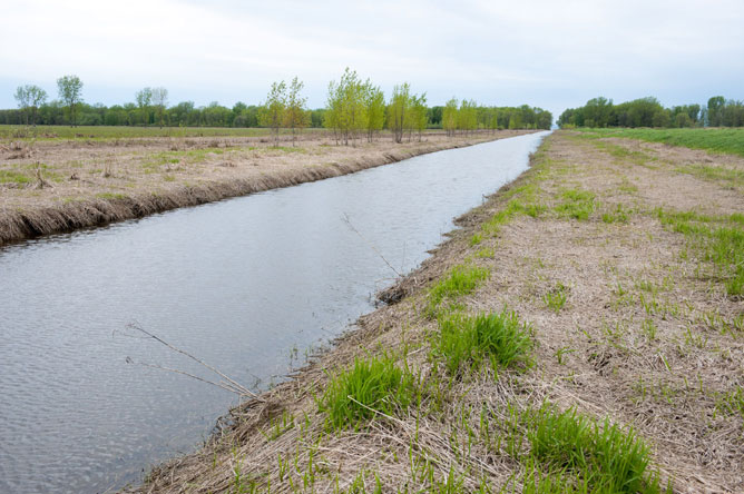 Intake channel in the floodplain south of Lake Saint-Pierre